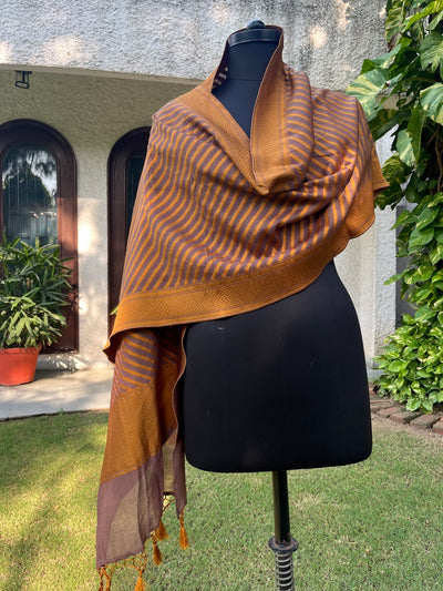 Mocha brown Cotton Silk Stole Dupatta