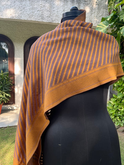 Mocha brown Cotton Silk Stole Dupatta