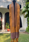 Mocha brown Cotton Silk Stole Dupatta