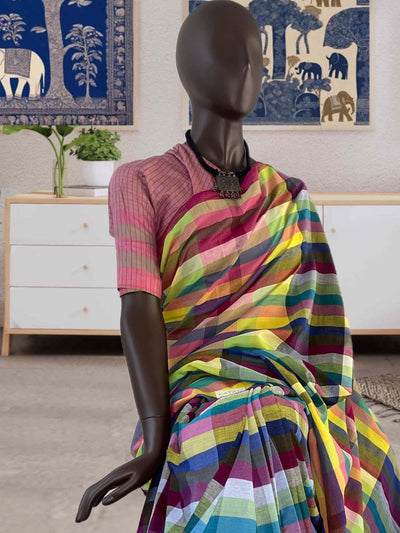 Rainbow Checks Bhujodi Saree