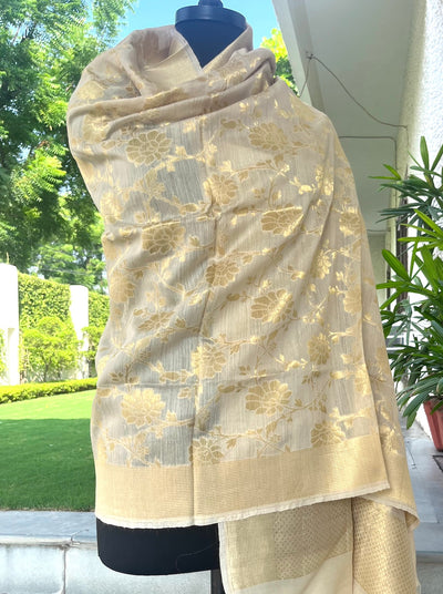 Gold cream Moonga Dupatta