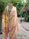 Bhuvanagiri Pink & Sea Green Patola Silk Saree