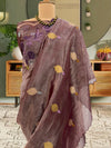 Gooseberry Brown Embroidered Tissue Sari