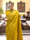 Triveni Yellow Chinya Silk Saree