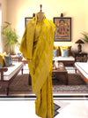 Triveni Yellow Chinya Silk Saree