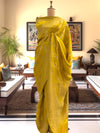 Triveni Yellow Chinya Silk Saree